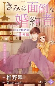 きみは面倒な婚約者 story17の書影