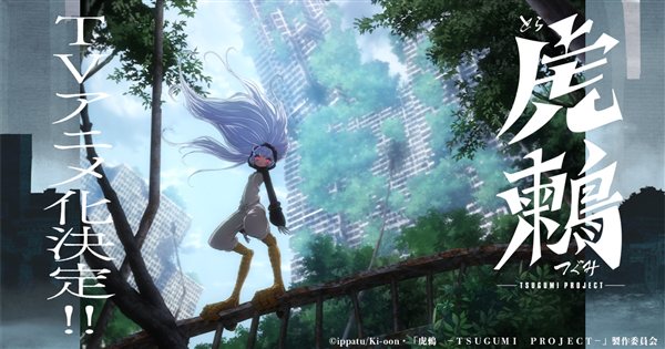虎鶫 TSUGUMI PROJECT アニメ化決定ビジュアル