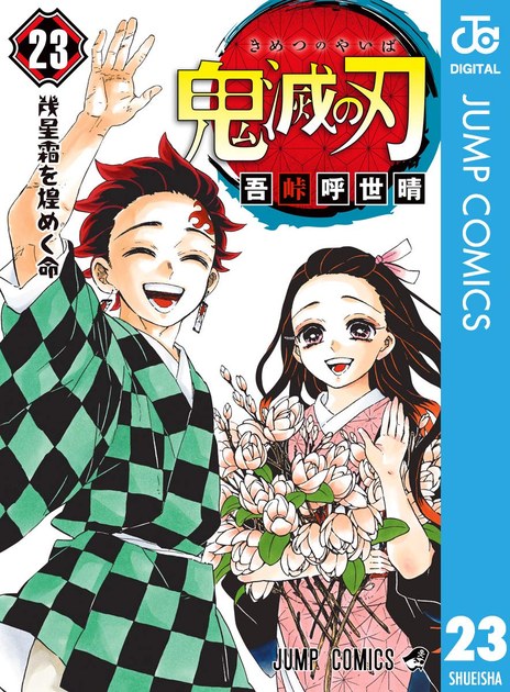 kimetsu23 書影
